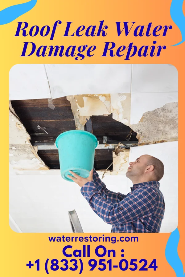 Roof Leak Water Damage Repair in Albion, PA