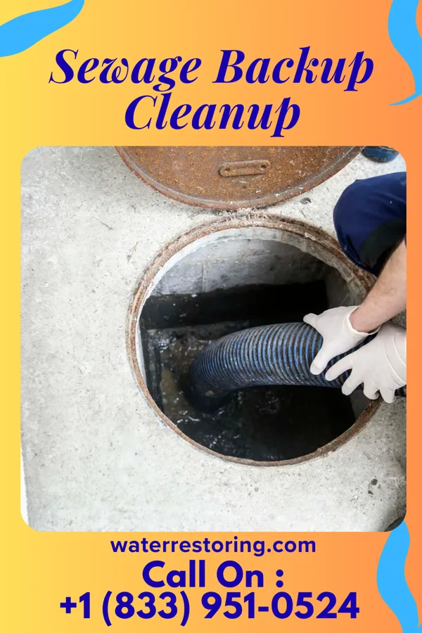 Sewage Backup Cleanup in Albion, PA