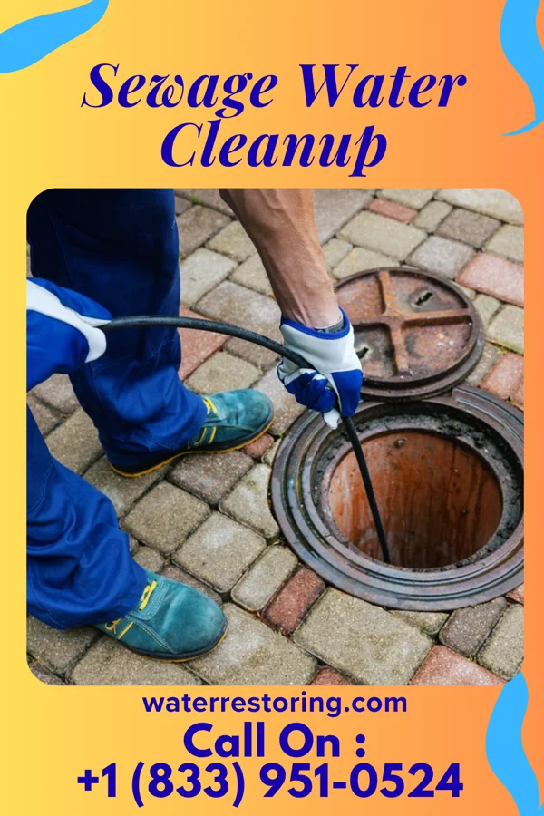 Sewage Water Cleanup in Albion, PA